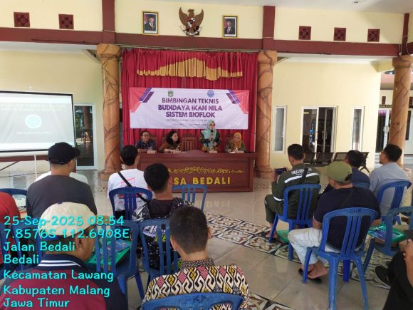 Dorong Ekonomi Warga, Hj. Nur Mutiah Faridah Berikan Bantuan Budidaya Ikan Nila Bioflok di Kecamatan Lawang